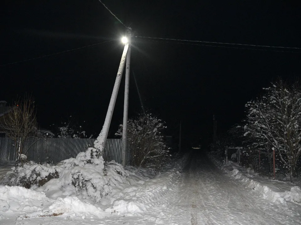 Фото: МедиаБанк Подмосковья/Владимир Останин