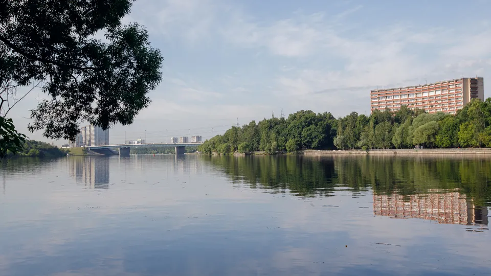 Фото: медиасток.рф