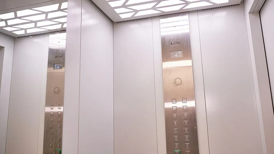 Фото: пресс-служба губернатора и правительства Московской области