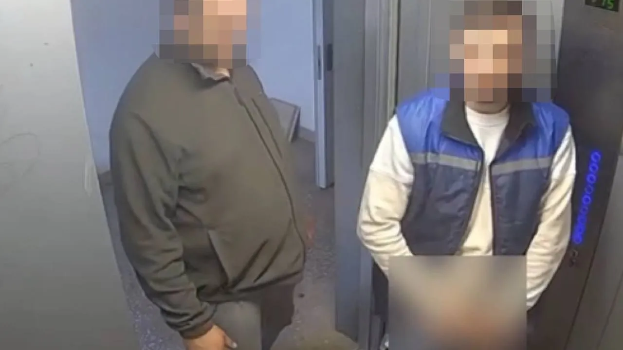 Фото: t.me/zelenograd_andreevka