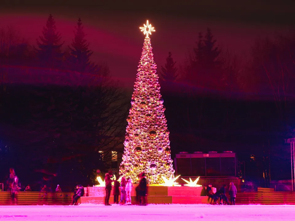 Фото: МедиаБанк Подмосковья/Иван Чижов