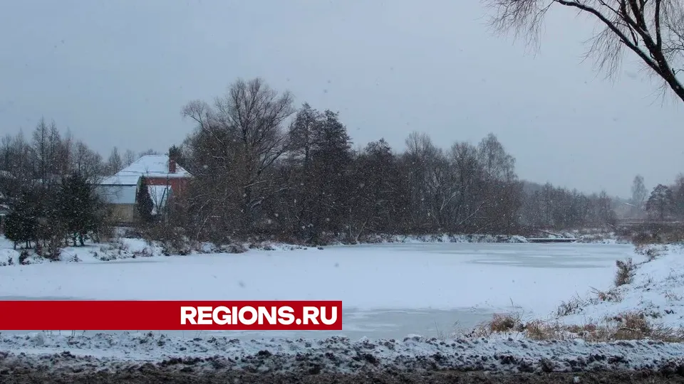 Фото: REGIONS/Василий Тремасов