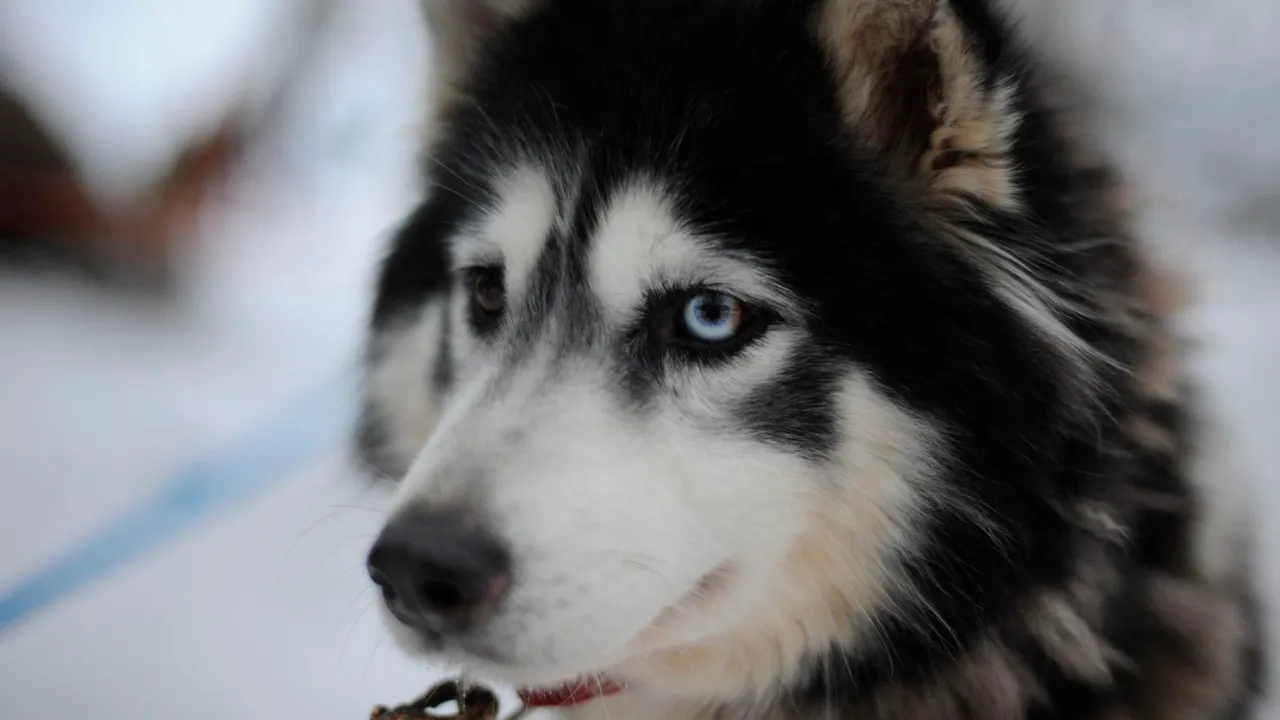 медиасток.рф