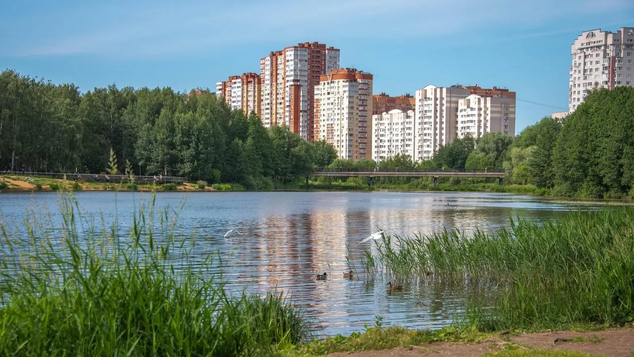 Фото пресс-службы администрации г.о. Балашиха