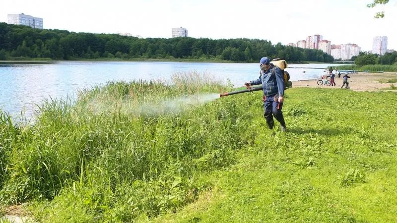 Зону отдыха у реки Пехорки в Балашихе обработали от комаров