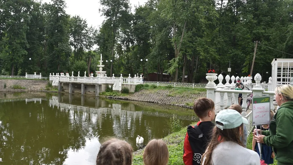 Фото: МедиаБанк Подмосковья/Владимир Останин