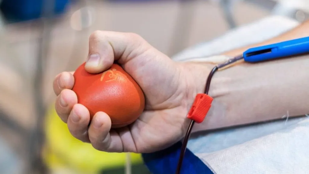 Фото: пресс-служба администрации г. о. Домодедово