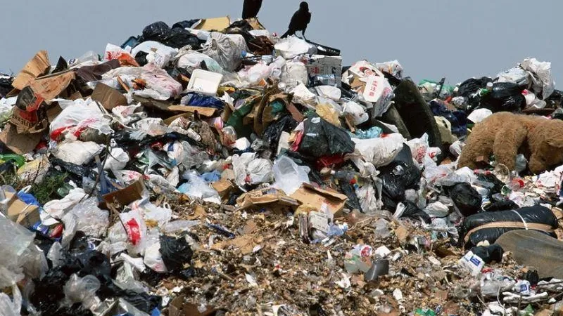 Суд понудит собственника земель в Одинцове убрать нелегальную свалку