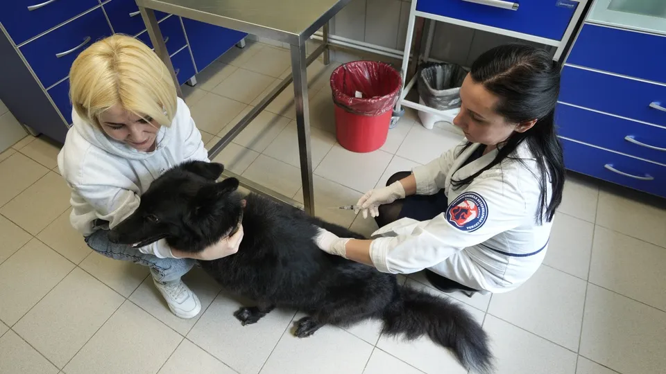 Фото: МедиаБанк Подмосковья/Н. Надточая