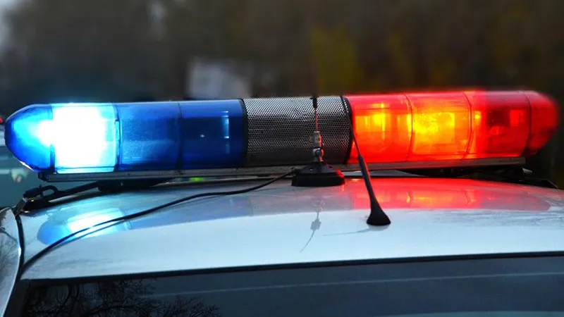 Тело известного врача найдено в Балашихинском лесу