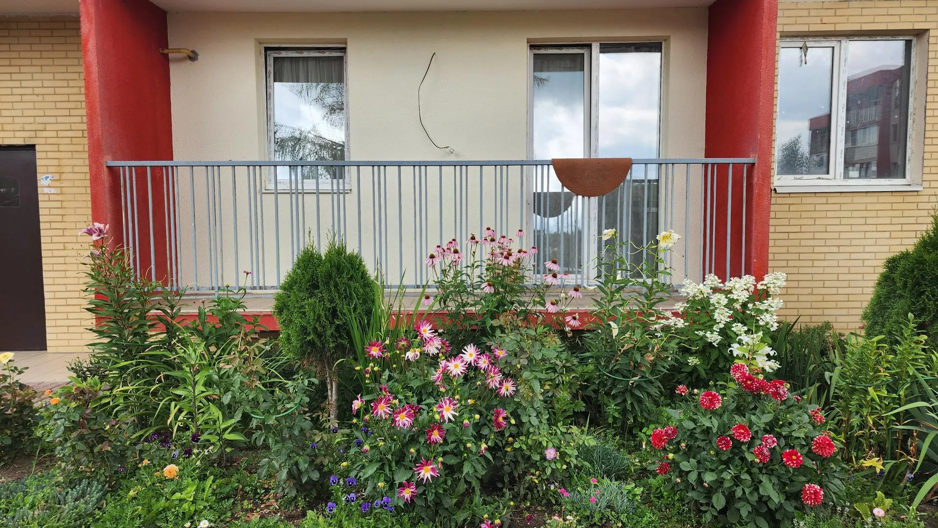 Хавива Фонина