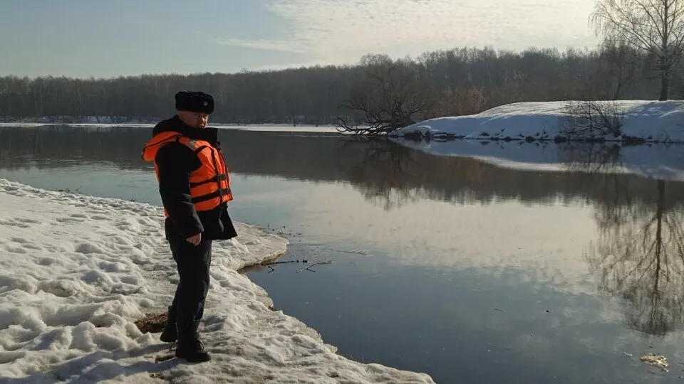 Фото: ГКУ МО «Мособлпожспас»