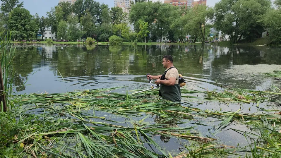 Фото: Юлия Смагринская
