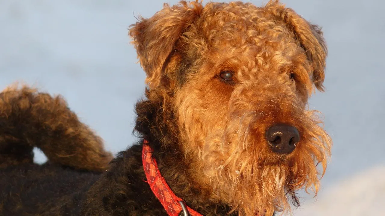 istockphoto.com/Ralf Menache