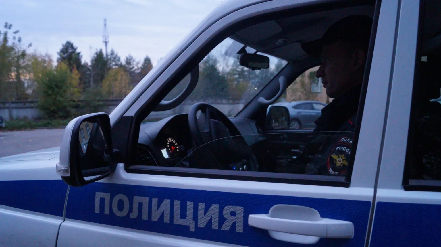 Фото: пресс-служба ОМВД России по Подмосковью