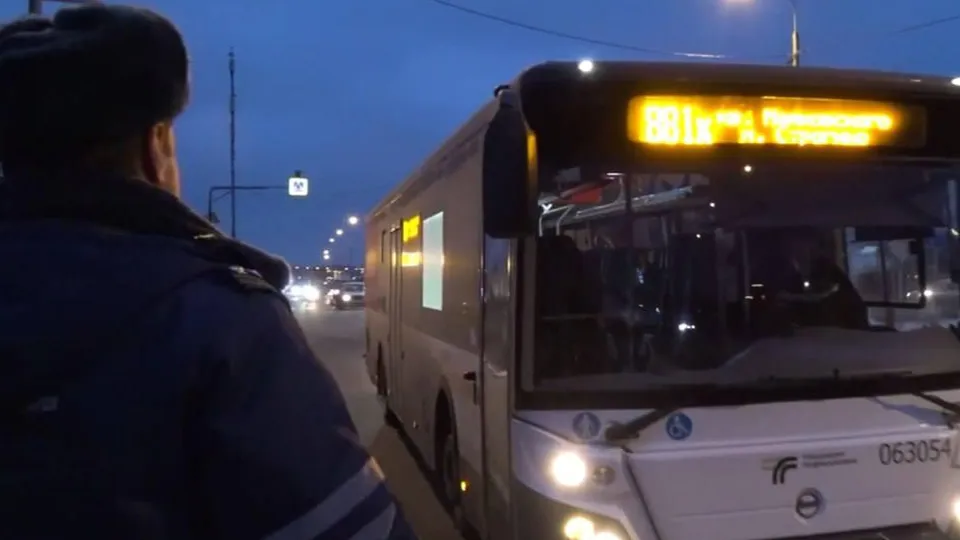 Фото: АПИ МО