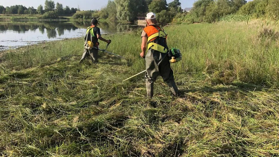 Фото: пресс-служба Администрации г.о. Ступино