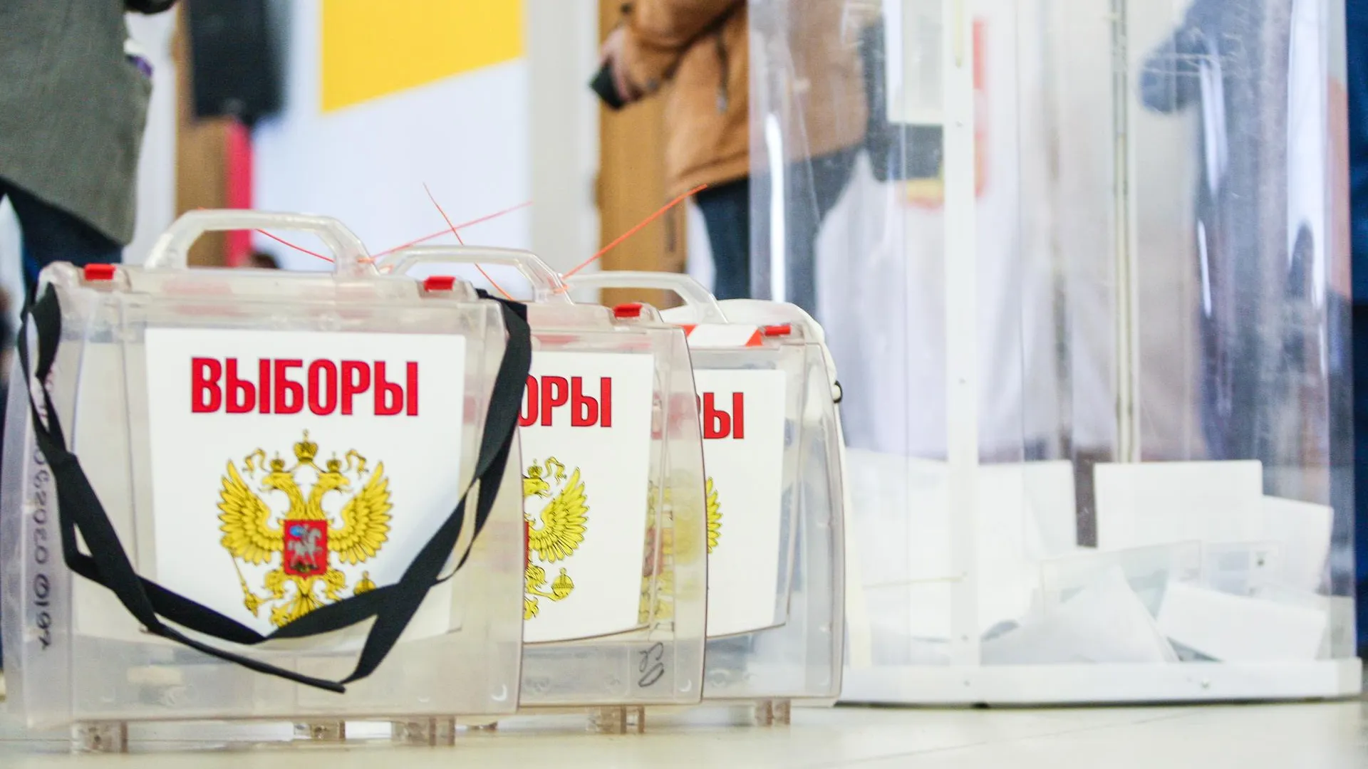 Виталий Ватулин