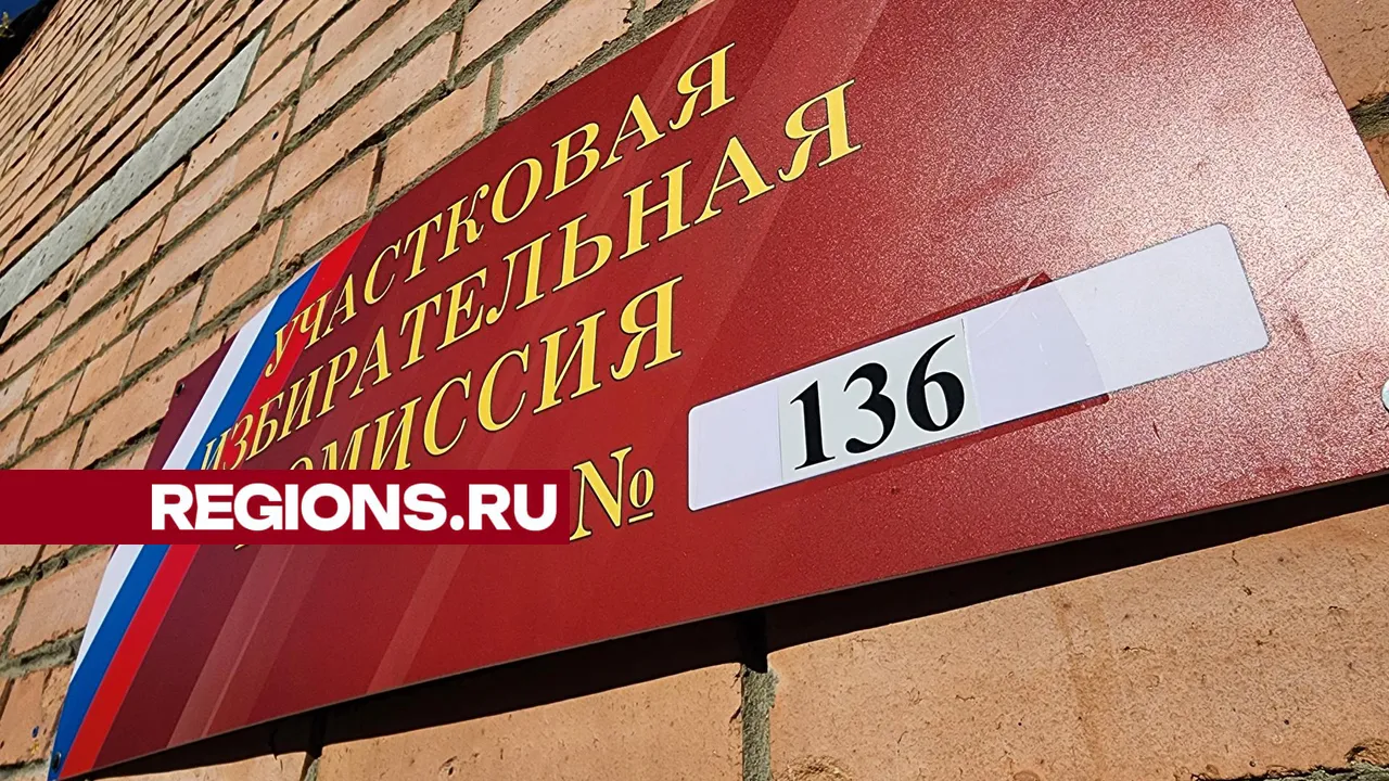 Фото: Светлана Плотникова