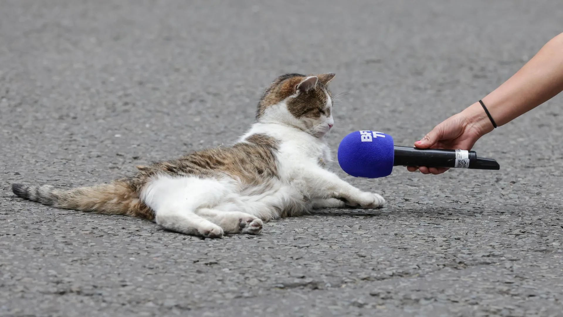 London News Pictures/Keystone Press Agency