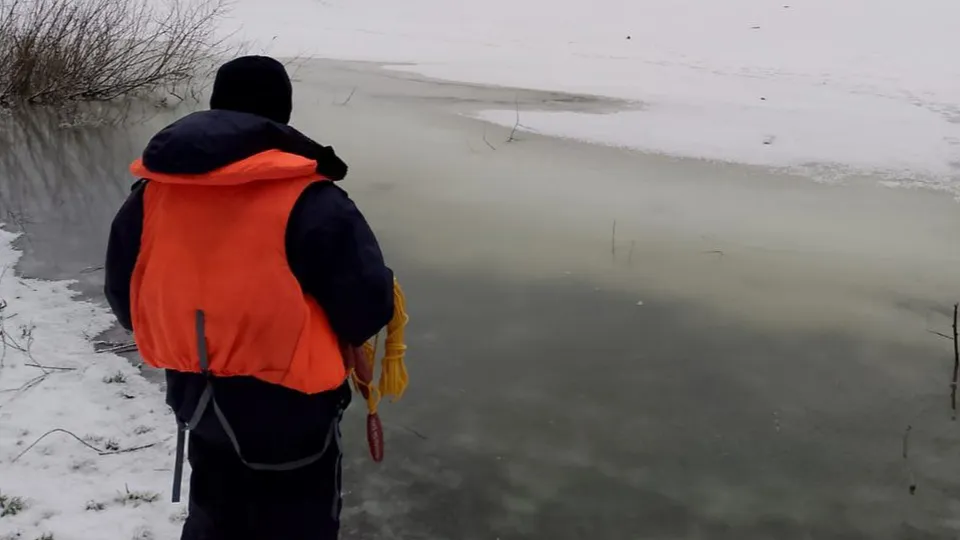 Фото: Дмитрий Елизаветенков