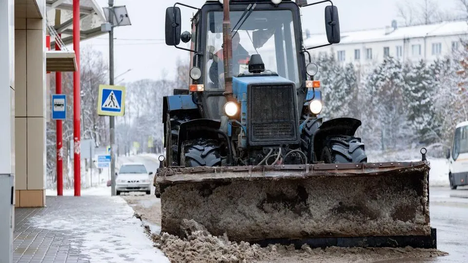 Фото: пресс-служба администрации г.о. Кашира