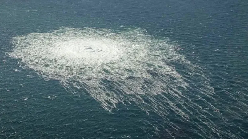 Danish Defence