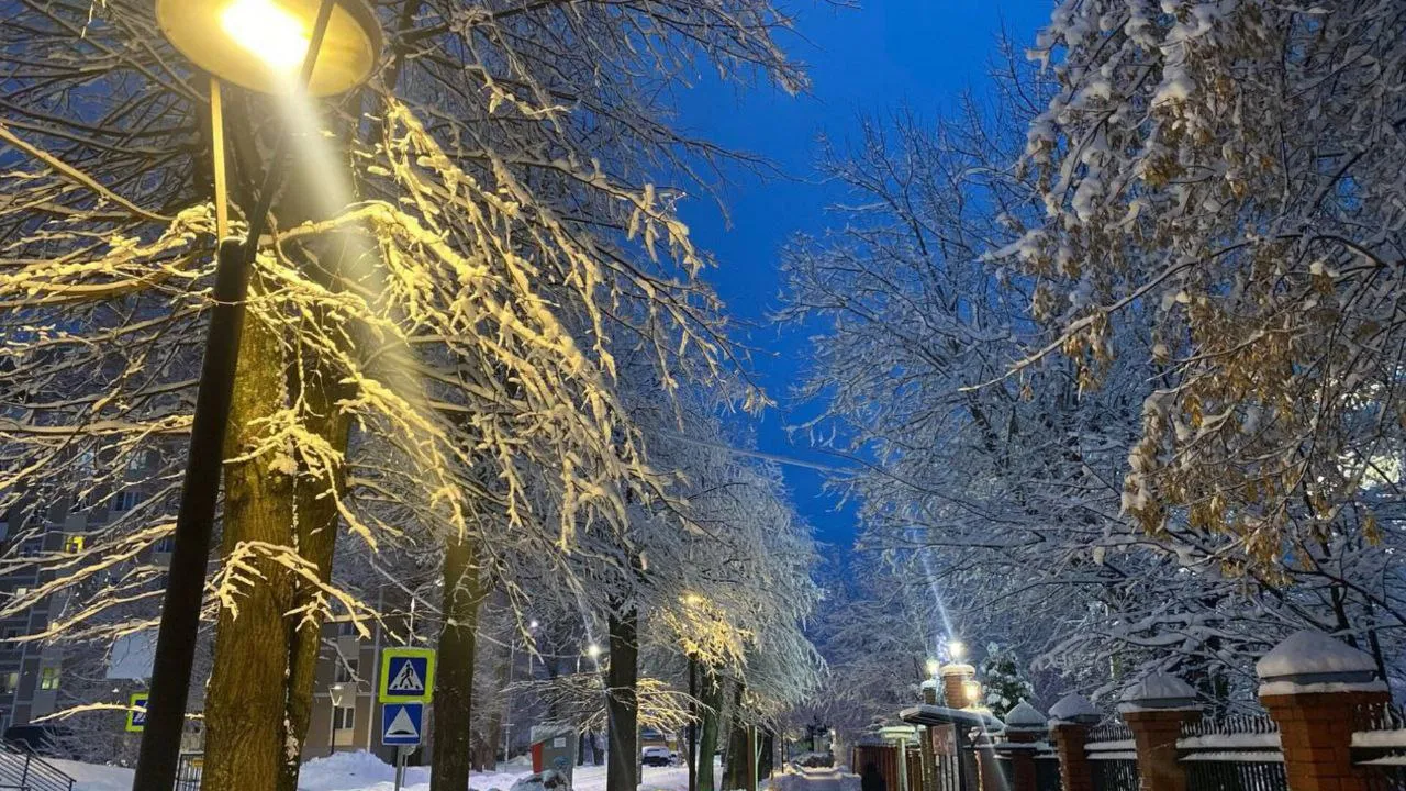 Фото: t.me/ParkVerbilki