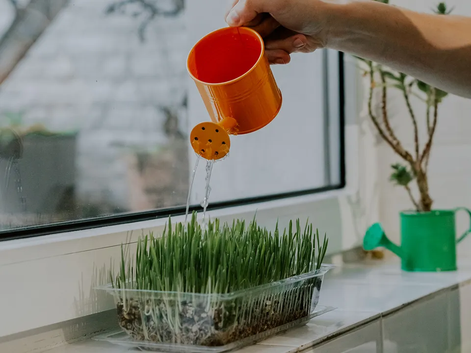 Фото: istockphoto.com/NataKor