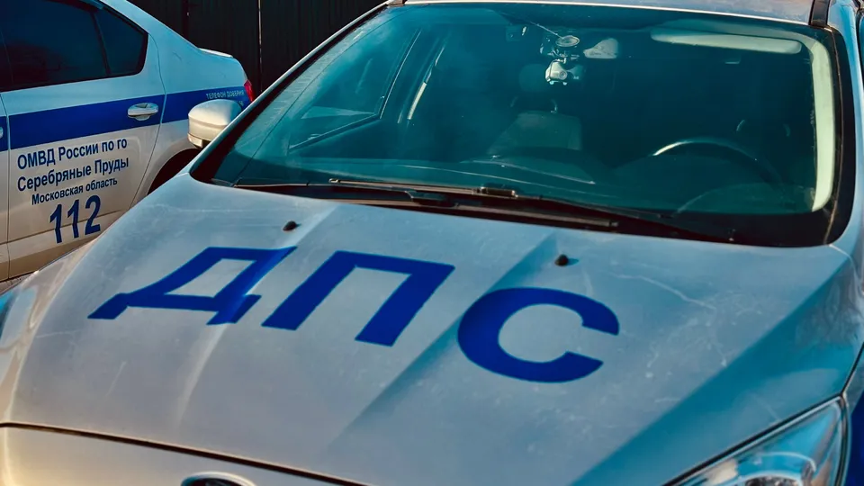 Фото: Госавтоинспекция г.о. Серебряные Пруды