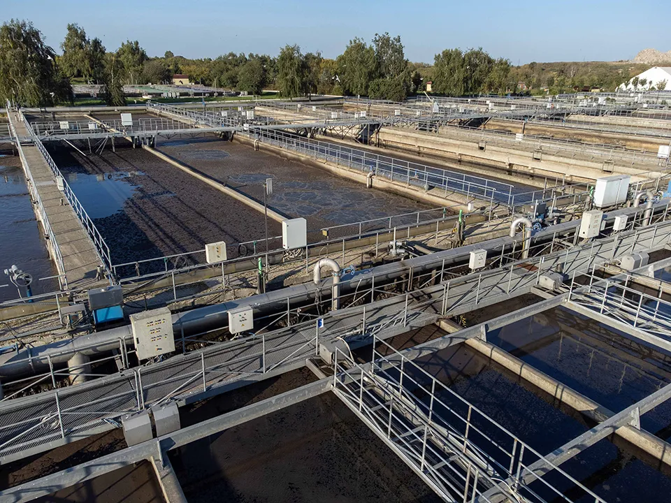 Фото: пресс-служба губернатора и правительства Московской области