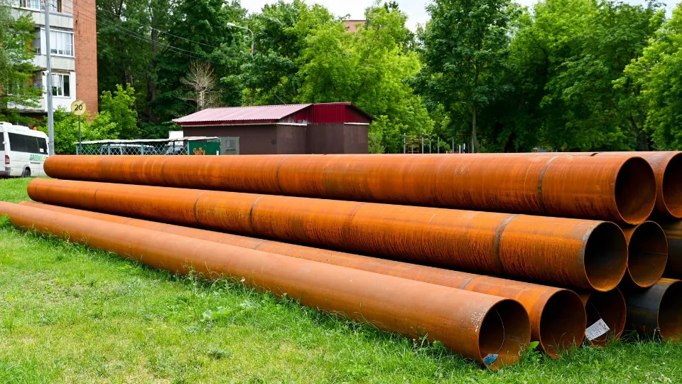 Фото: пресс-служба администрации Ленинского г.о.