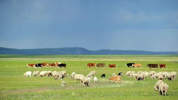 Евгений Епанчинцев / РИА Новости