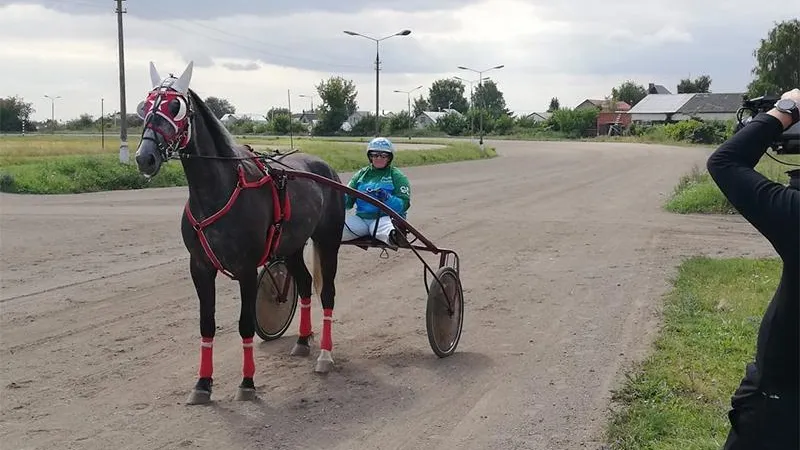Рысаки с ипподрома в Раменском снялись в необычном фильме