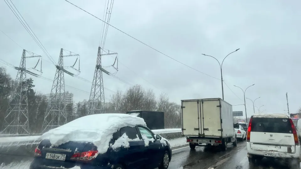 Фото: Елена Фурман