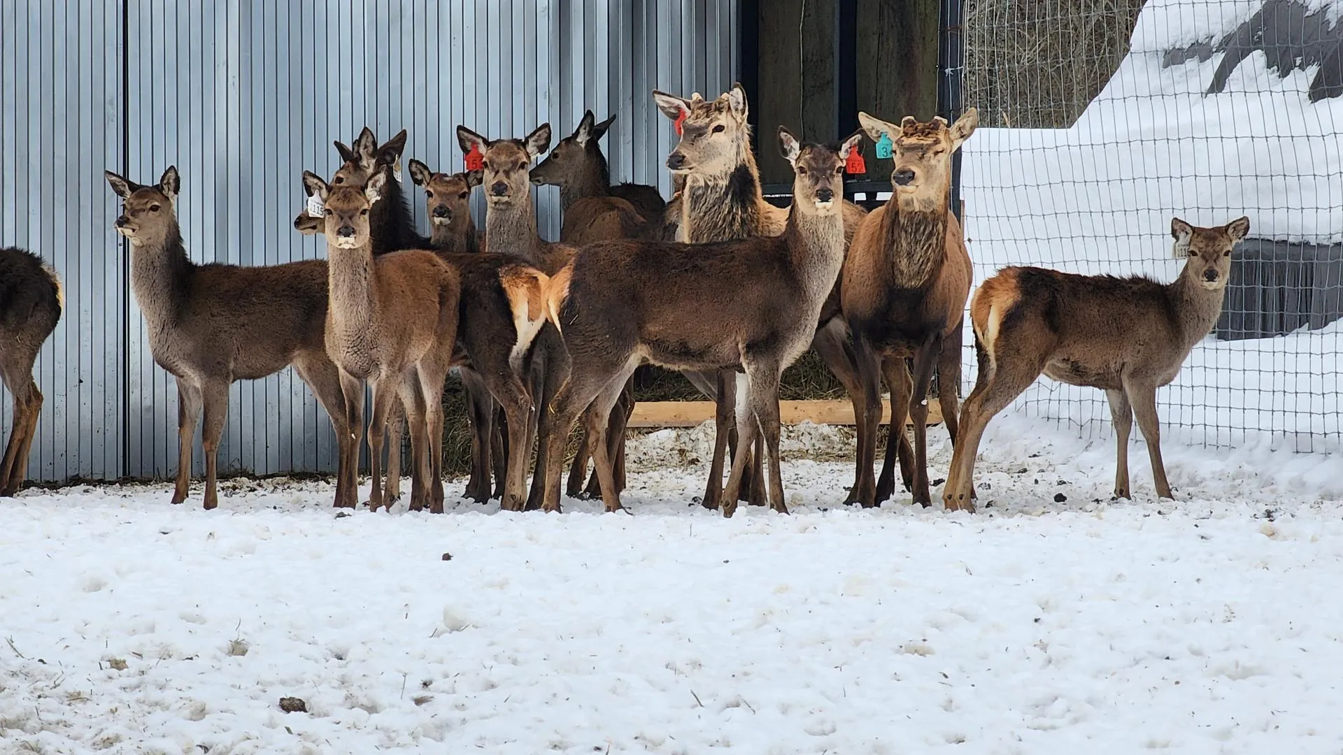 REGIONS/Евгений Рой