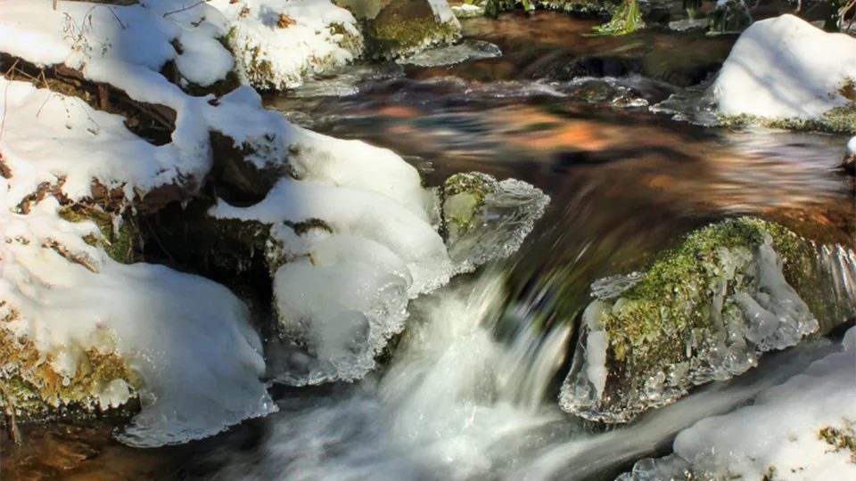 Фото: pxhere.com