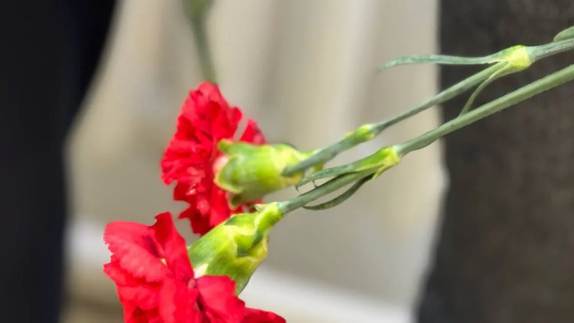 Фото: пресс-служба администрации Можайского м. о.