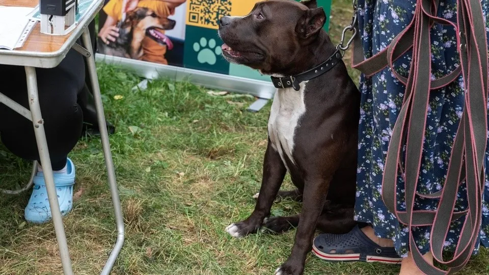 Фото: администрация г.о. Реутов