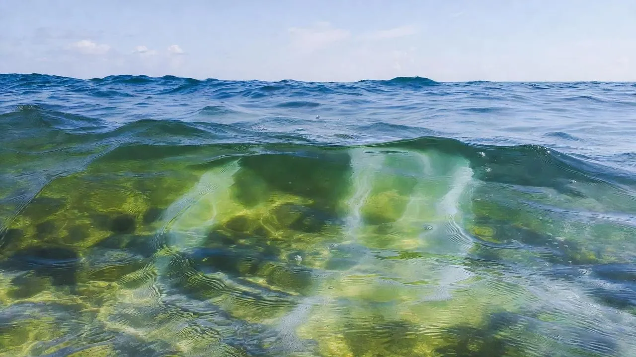 Зеленая лужа вместо бирюзового моря: знаменитые пляжи Фукуока оказались непригодны для купания