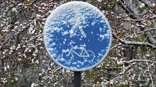 Синоптик рассказал, когда в Подмосковье может пойти первый снег