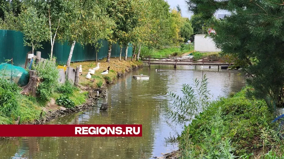 Фото: Никита Сморкалов