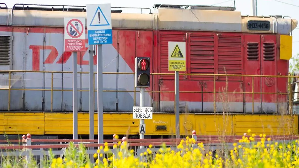 Фото: пресс-служба администрации г.о. Кашира