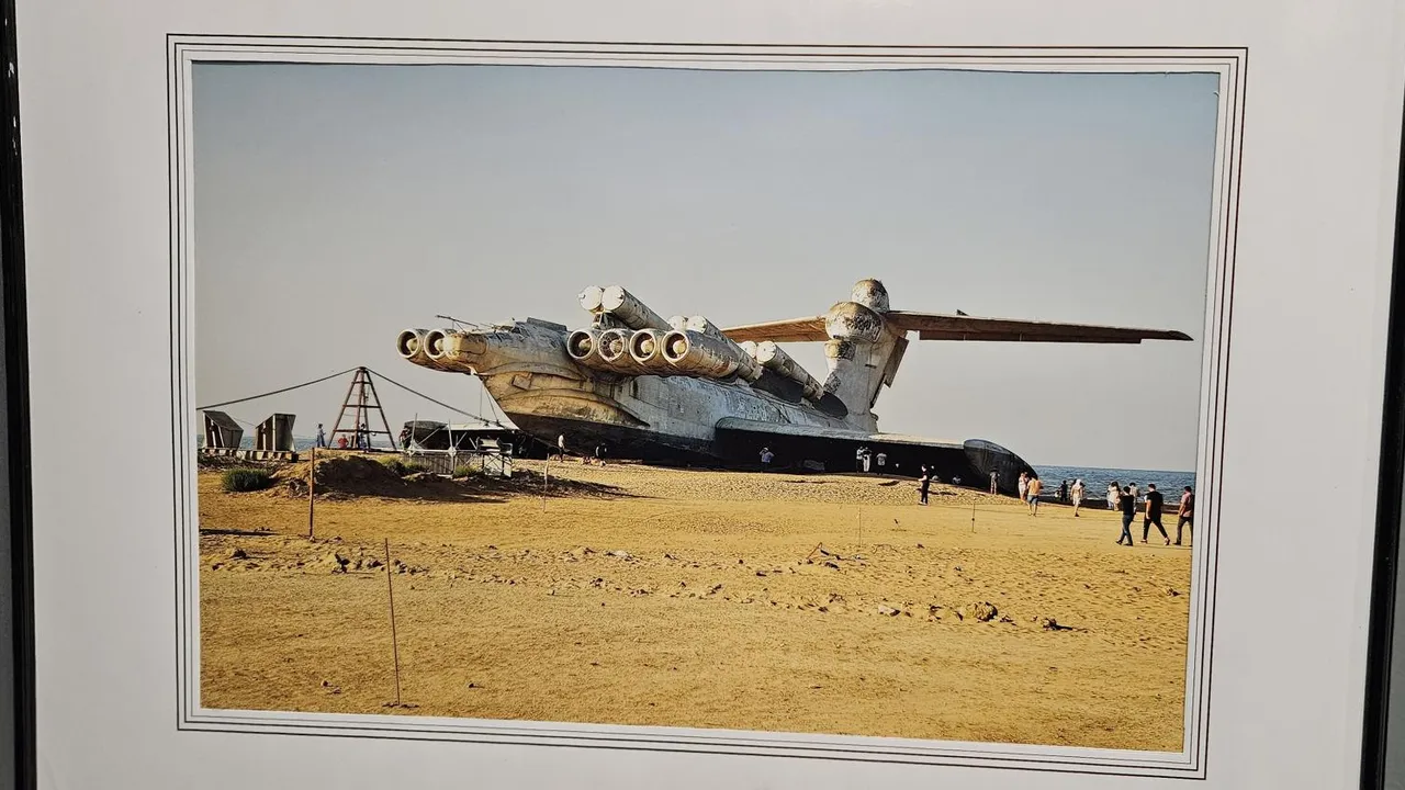 МедиаБанк Подмосковья/Ольга Вельшикаева