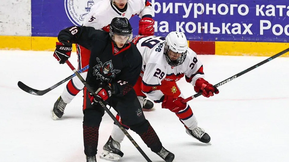 Фото: ХК «Воевода»