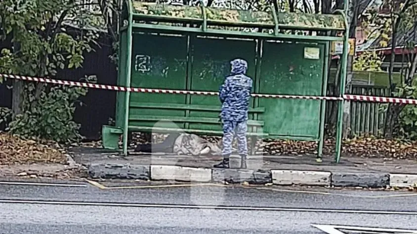 Фото: Telegram-канал Pushkino_official | НОВОСТИ