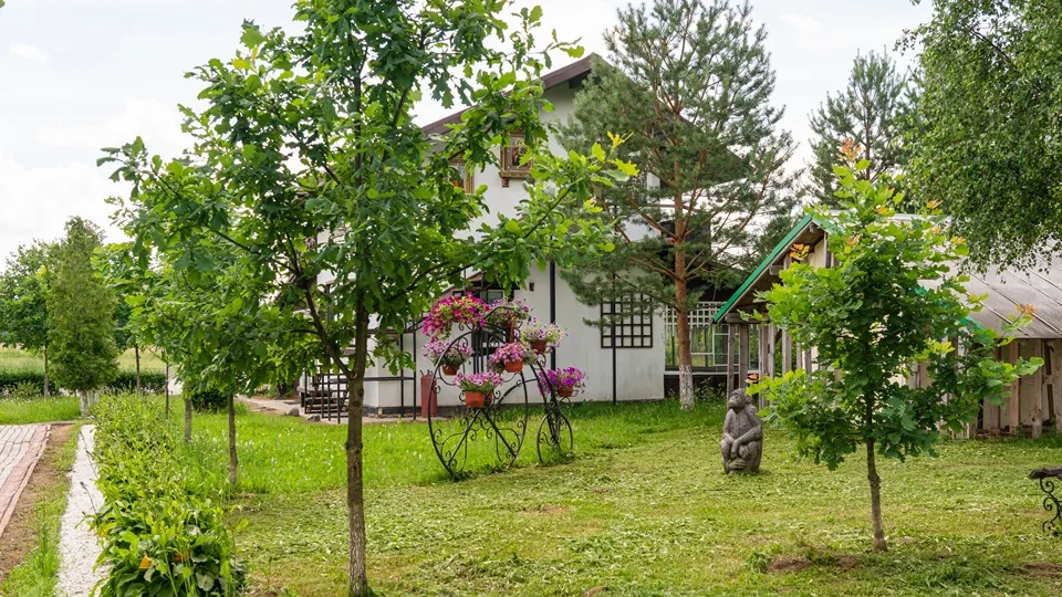 Фото: медиасток.рф