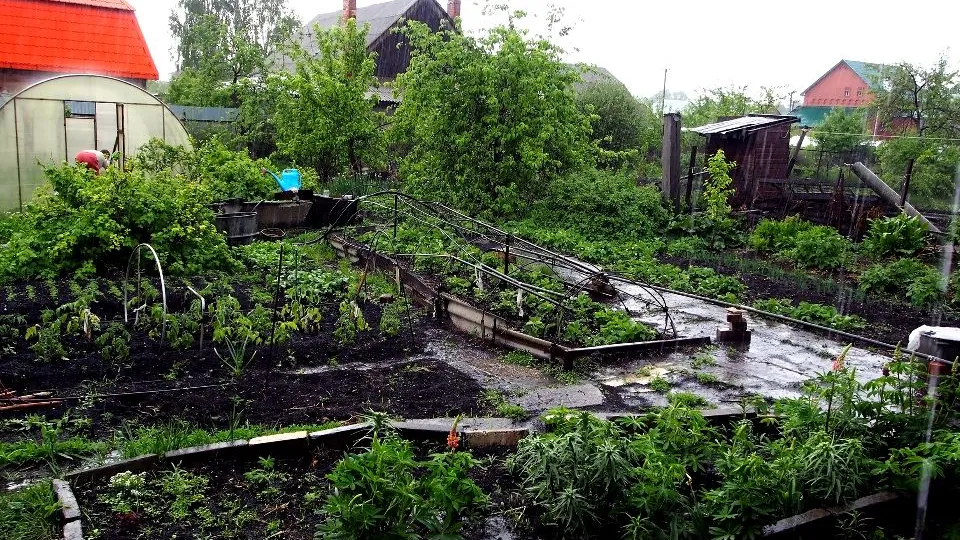 Фото: istockphoto.com/petrovval