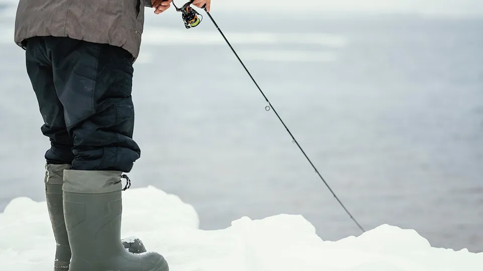 Фото: freepik.com