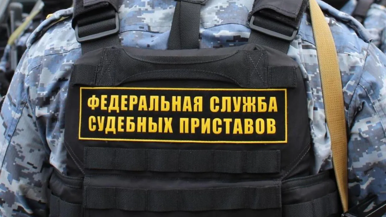 пресс-служба ГУФССП России по Московской области